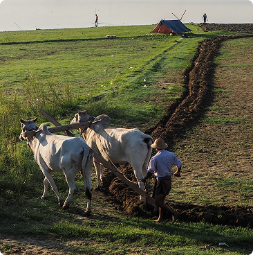 farming