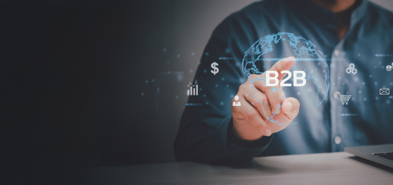 B2B marketplace models in enterprise and regulated industries